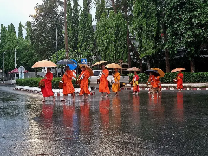 Colonne de moines avec robes et parapluies orange, pieds nus sous la pluie